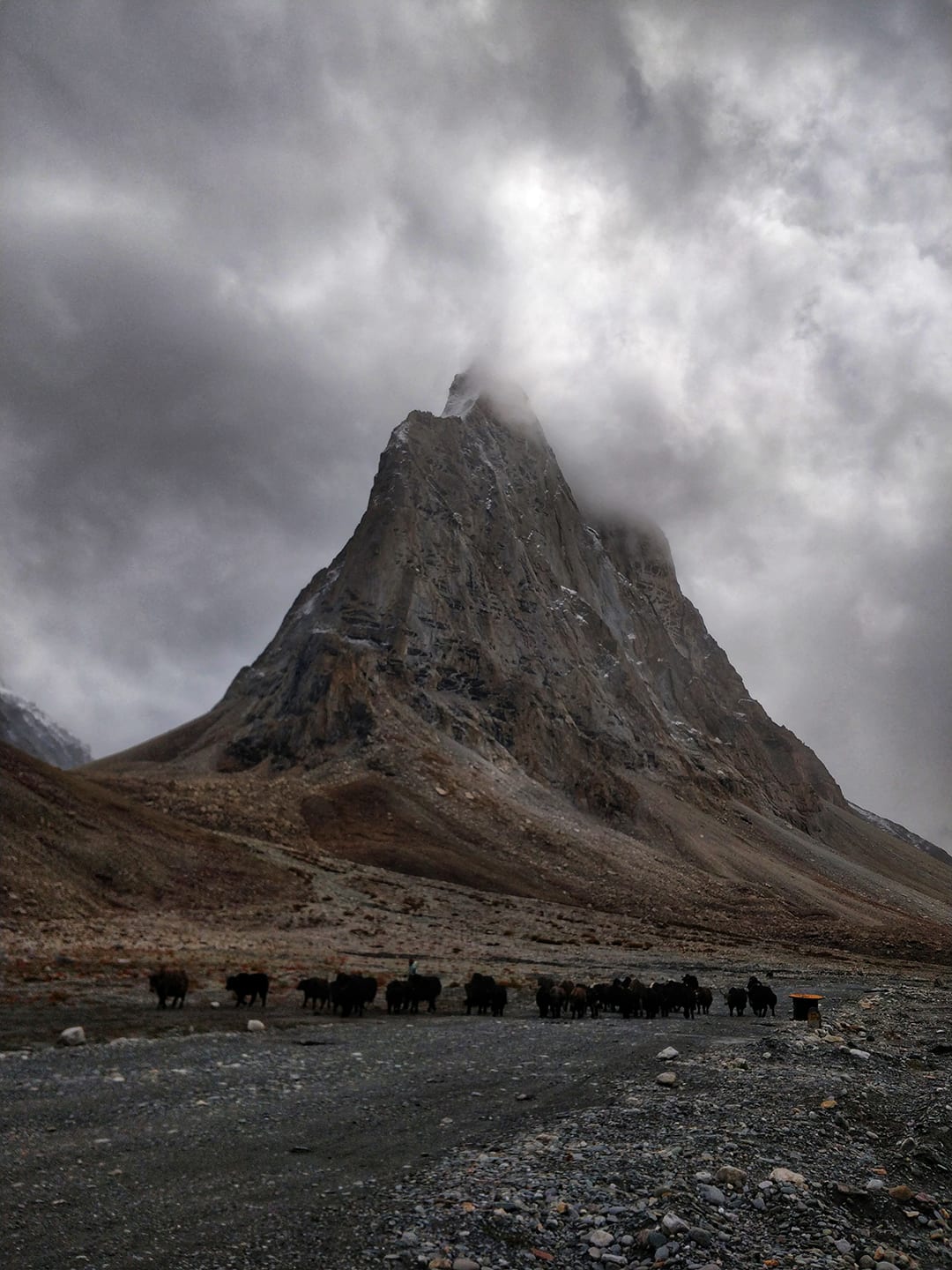 Manali to Leh via Zanskar Tour