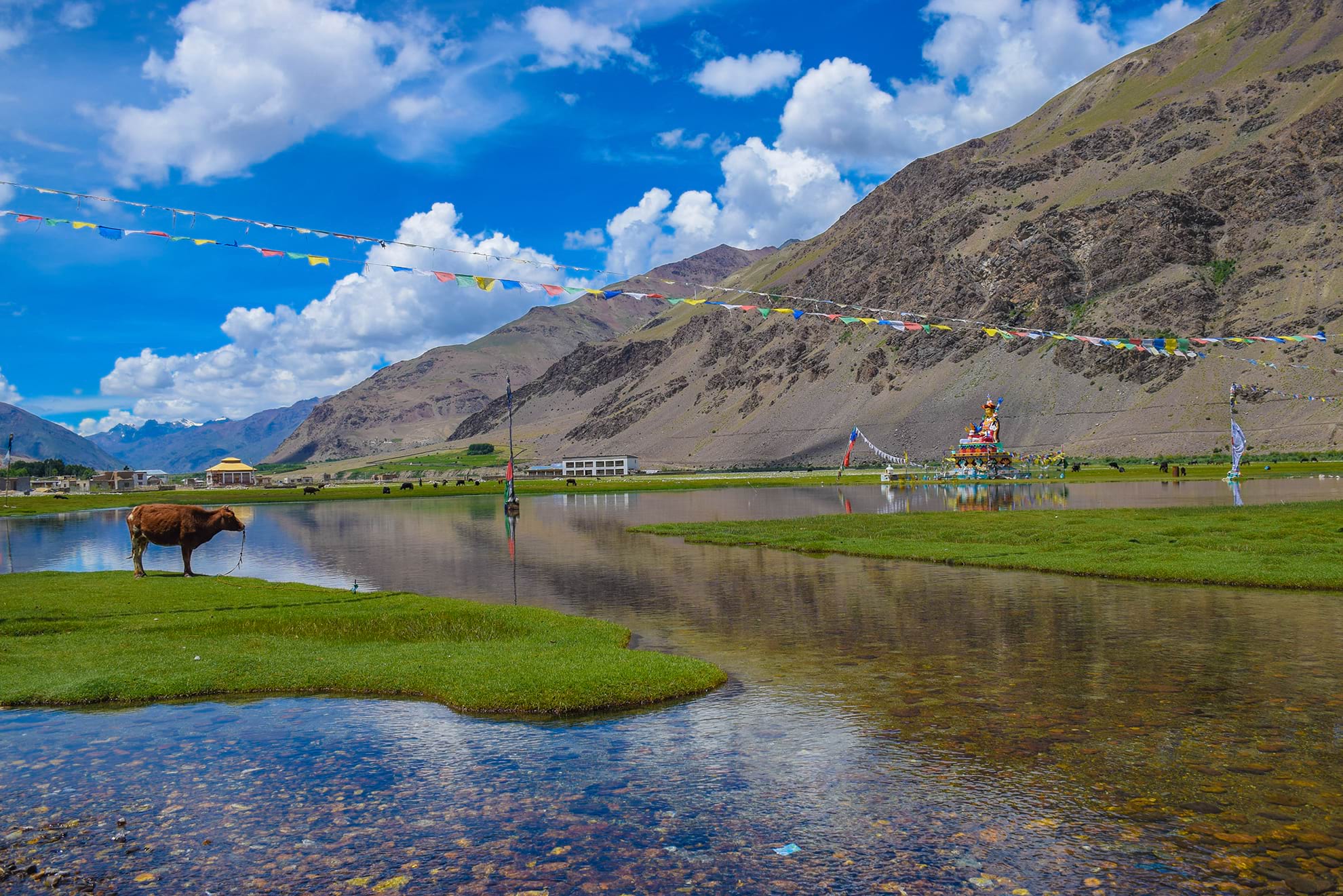 Ladakh Tour 