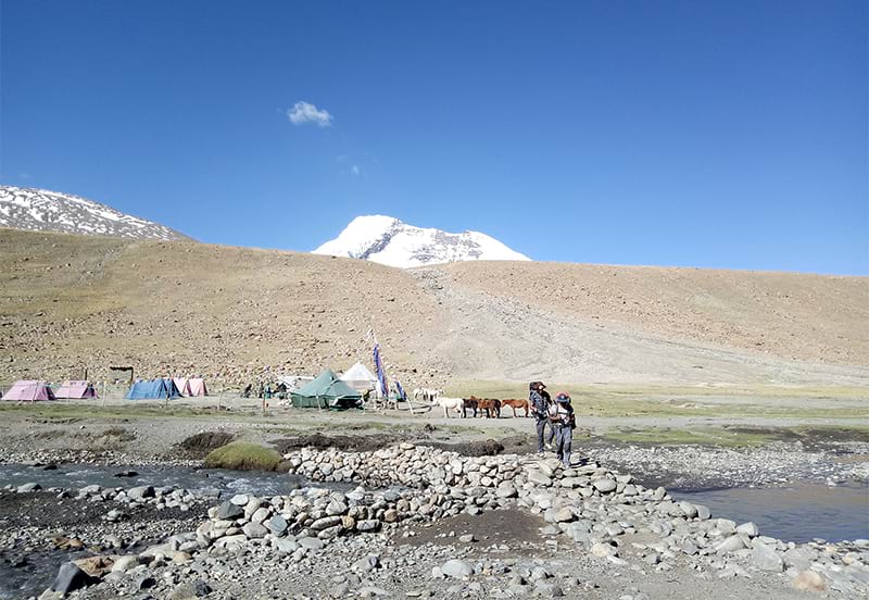 Markha Valley Trek from Chilling